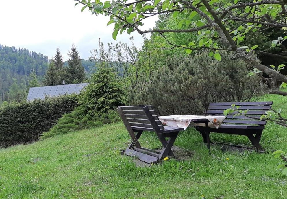 Villa Fleurs de Mýto à Mýto pod Ďumbierom Extérieur photo