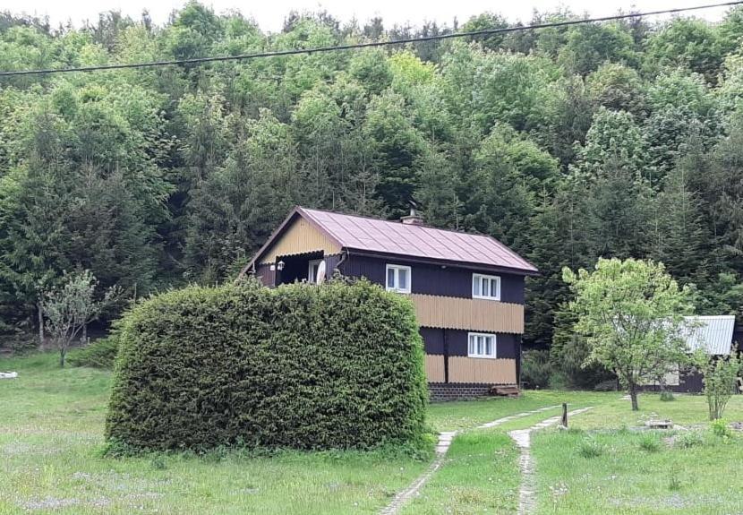 Villa Fleurs de Mýto à Mýto pod Ďumbierom Extérieur photo